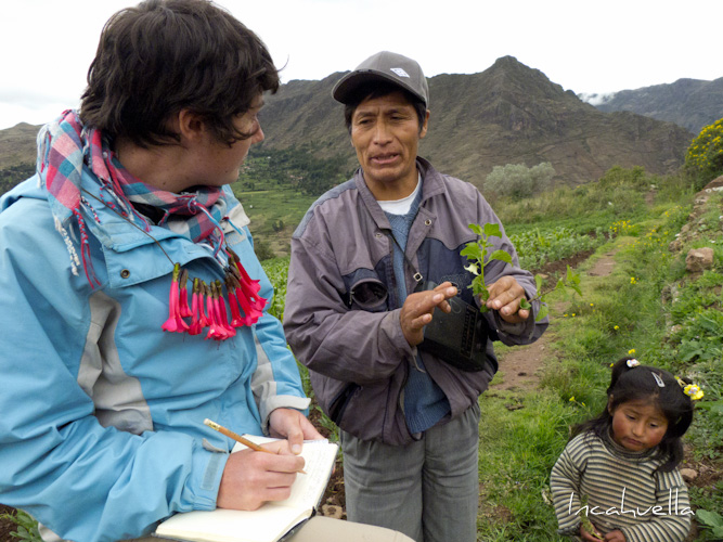 Rencontre avec une communauté Quechua et visite de leurs terres avec cours de botanique.